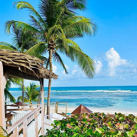 Acces Direct Plage, Vue Mer D'Exception, Les Gwada Studios, Village Vacances Sainte-Anne  Zewnętrze zdjęcie