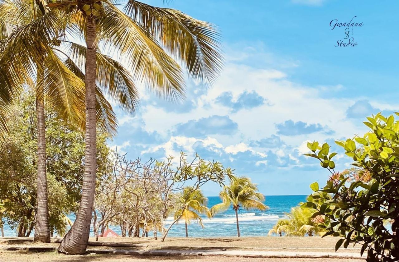 Acces Direct Plage, Vue Mer D'Exception, Les Gwada Studios, Village Vacances Sainte-Anne  Zewnętrze zdjęcie
