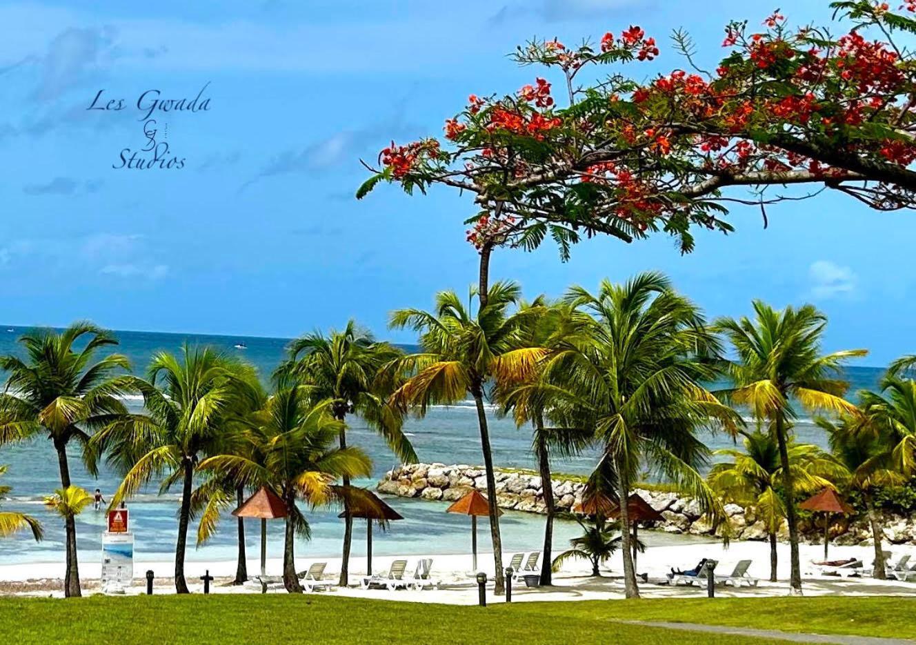 Acces Direct Plage, Vue Mer D'Exception, Les Gwada Studios, Village Vacances Sainte-Anne  Zewnętrze zdjęcie